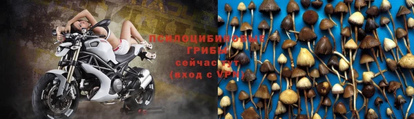 spice Володарск