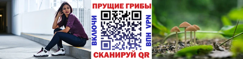 Псилоцибиновые грибы Psilocybe  нарко площадка как зайти  Камышлов 